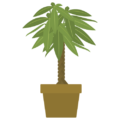 植木（パキラ）の無料アイコン・イラスト素材