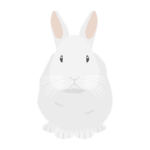 ウサギ（白）の無料アイコン・イラスト素材