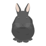 ウサギ（黒）の無料アイコン・イラスト素材