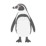 フンボルトペンギンの無料アイコン・イラスト素材