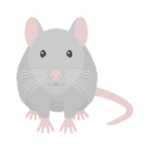 ネズミ（灰）の無料アイコン・イラスト素材
