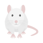 ネズミ（白）の無料アイコン・イラスト素材